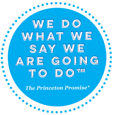The Princeton Promise Sticker